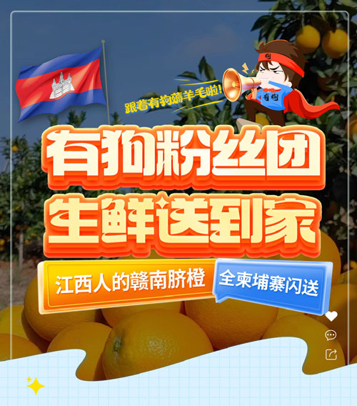 江西人的赣南脐橙